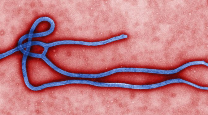 Ebola – Time to Panic?
